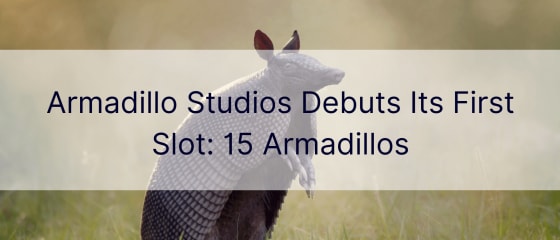 Armadillo ስቱዲዮ የመጀመሪያ ማስገቢያ Debuts: 15 Armadillos