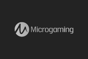 አዲሱ Microgaming ካሲኖዎች በመስመር ላይ 2024